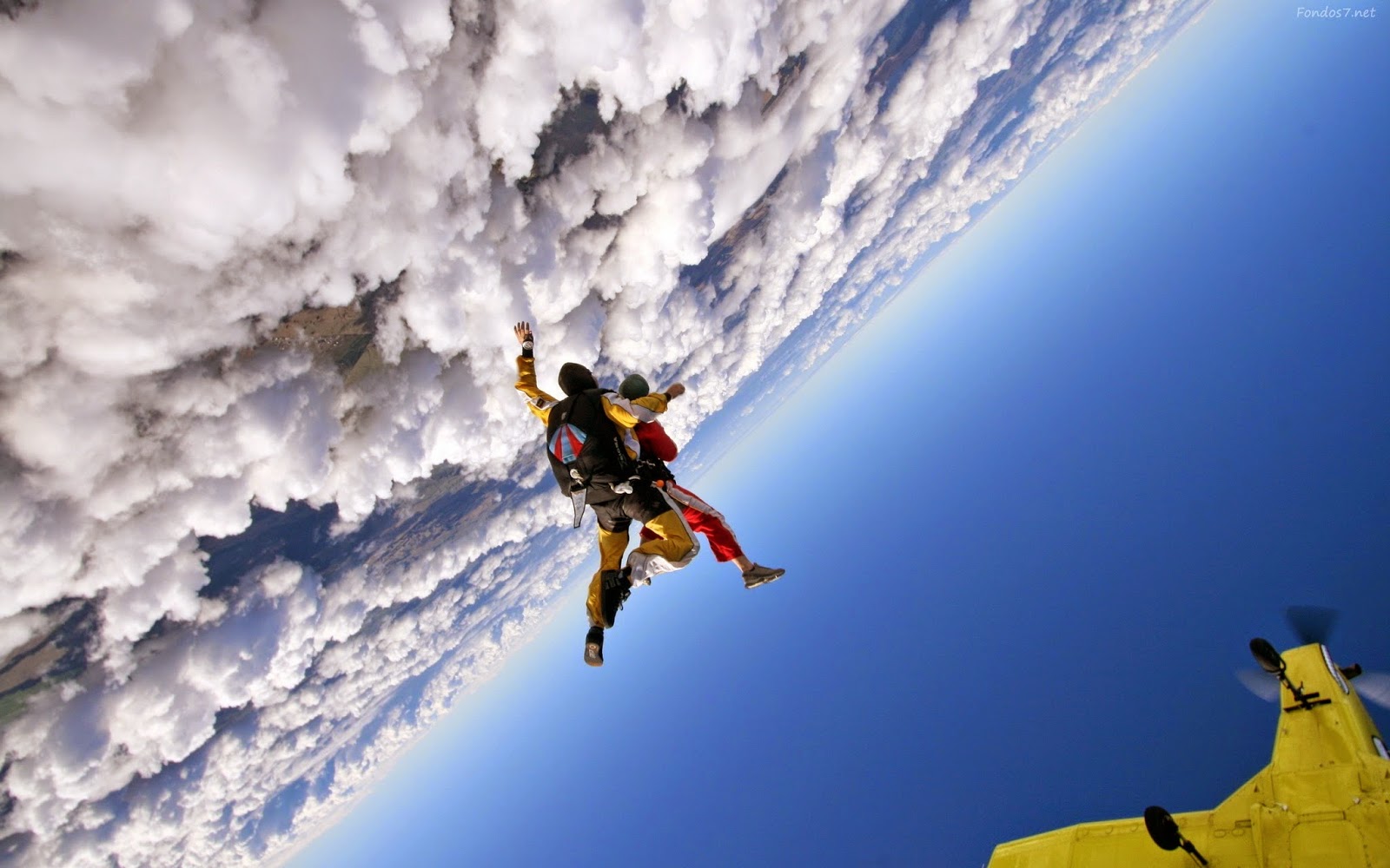 para%C5%9F%C3%BCt rooteto4